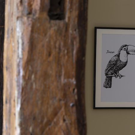 Le Toucan By Cocoonr Rennes Kültér fotó