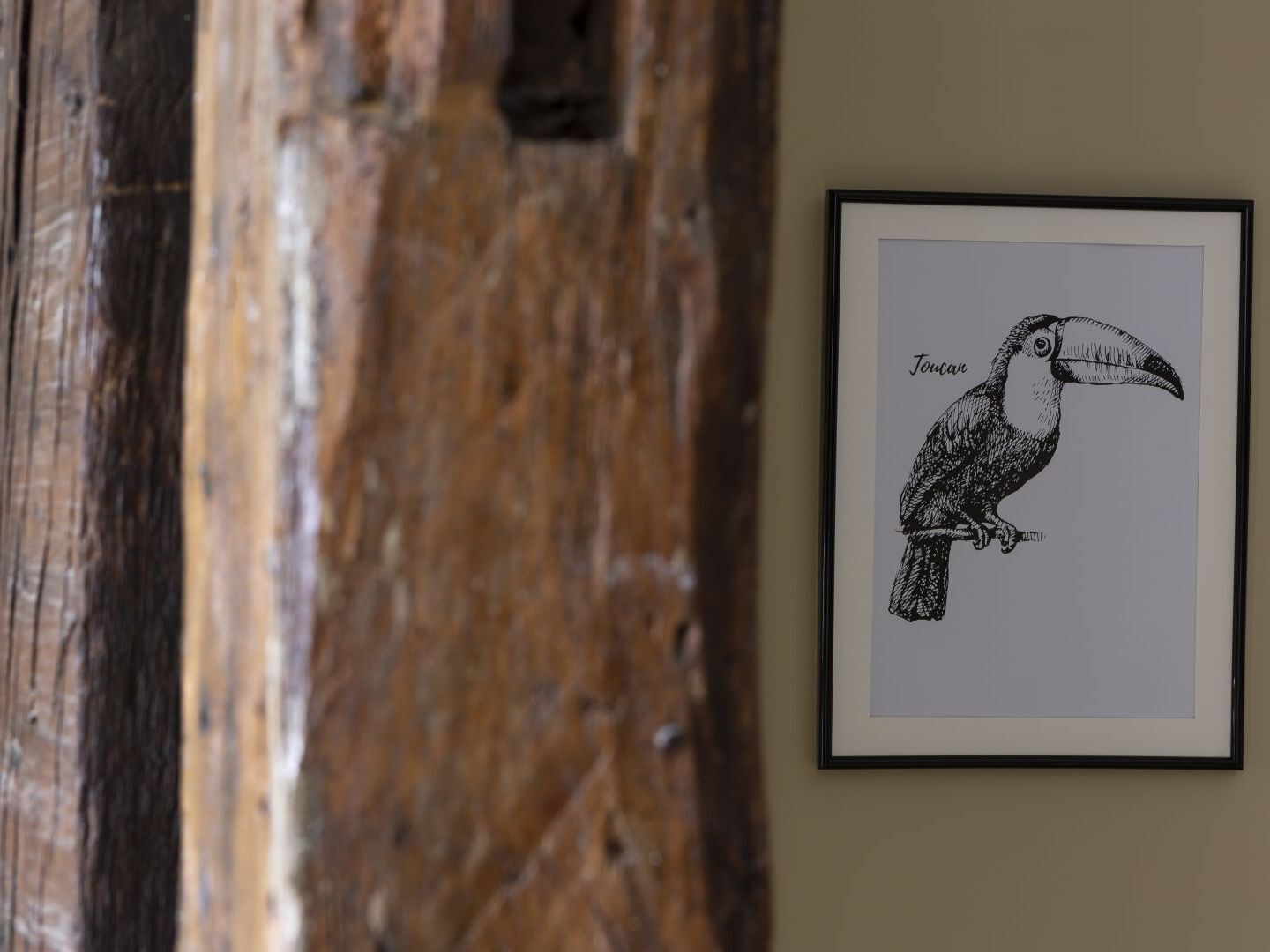 Le Toucan By Cocoonr Rennes Kültér fotó
